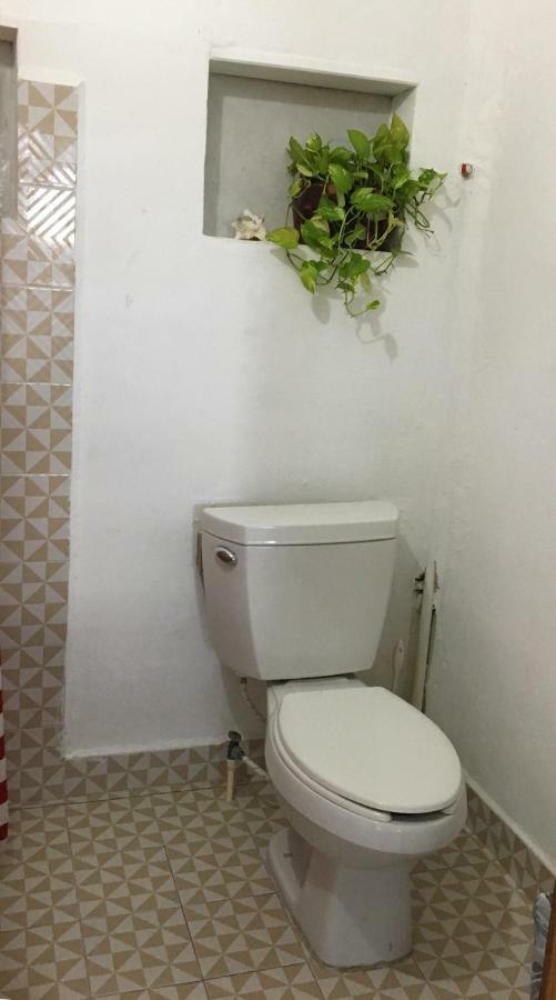 Cha Cha Cha Hostal Tulum